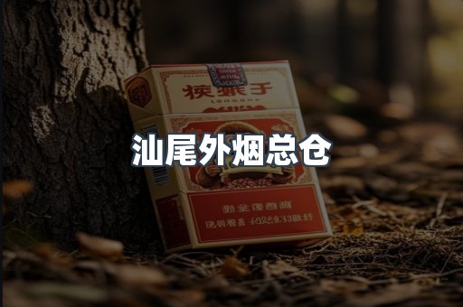 汕尾外烟总仓